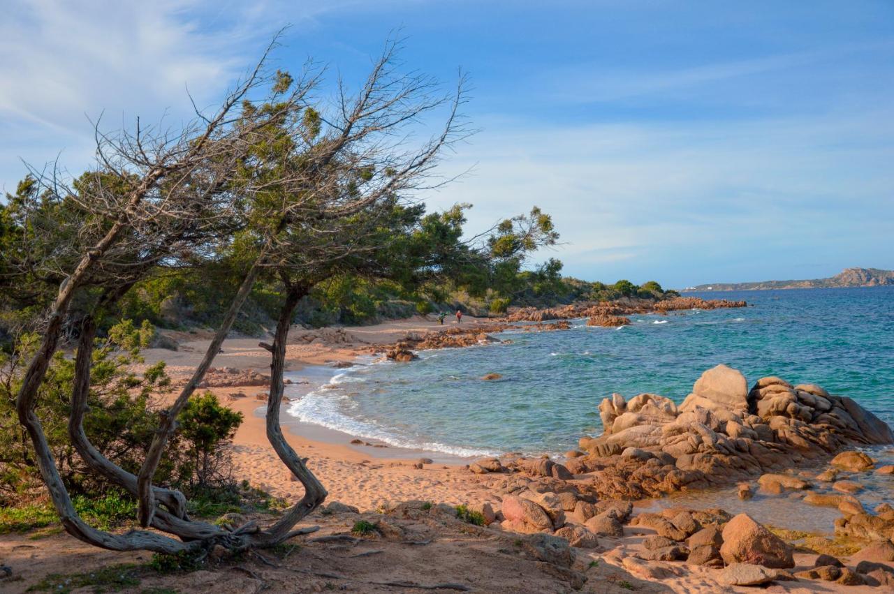 アルツァケーナ La Costa Viewアパートホテル エクステリア 写真